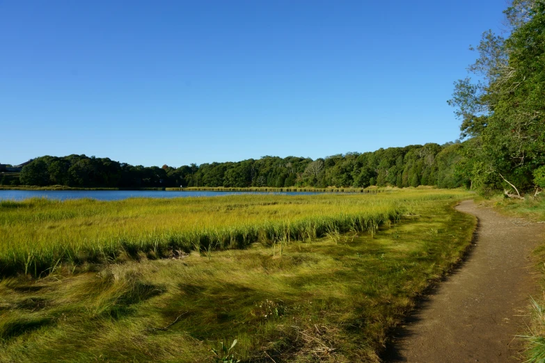 a small trail winds past a large grassy lake