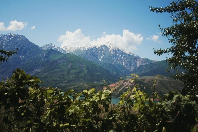 a large view of mountains and green grass