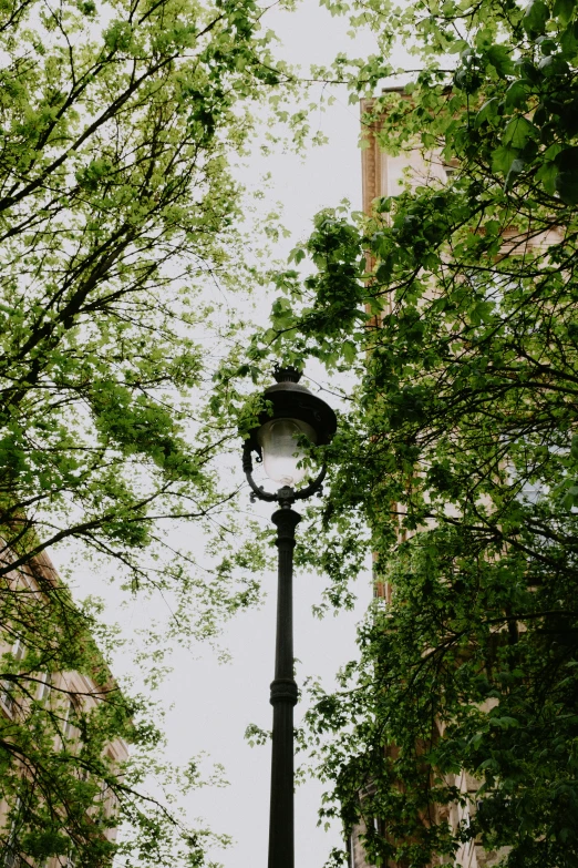 a street lamp in front of some trees and buildings