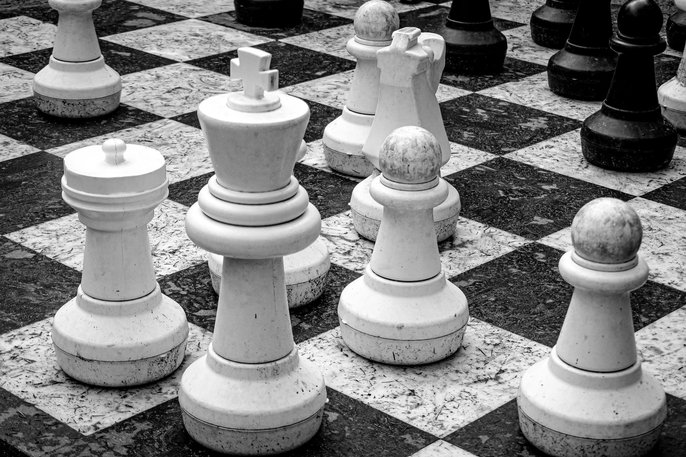 a couple of chess pieces are all lined up