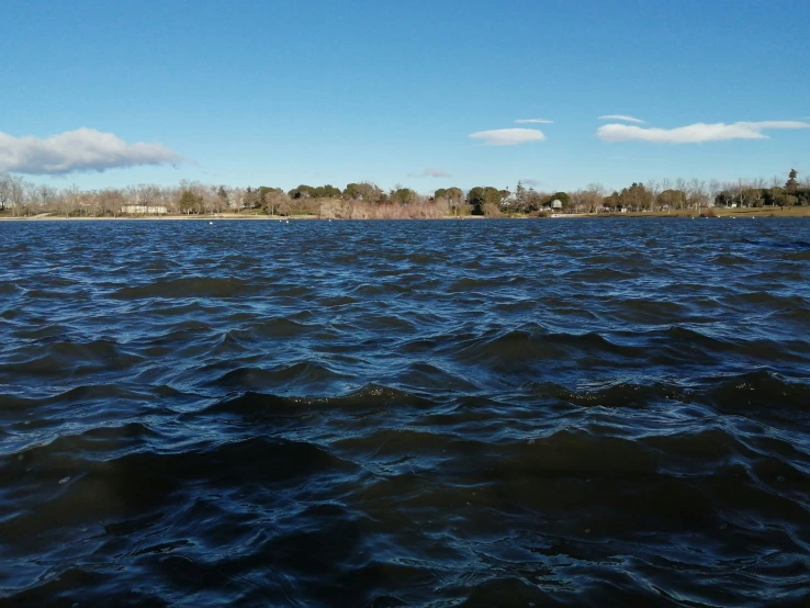 a body of water with a small tree in the distance