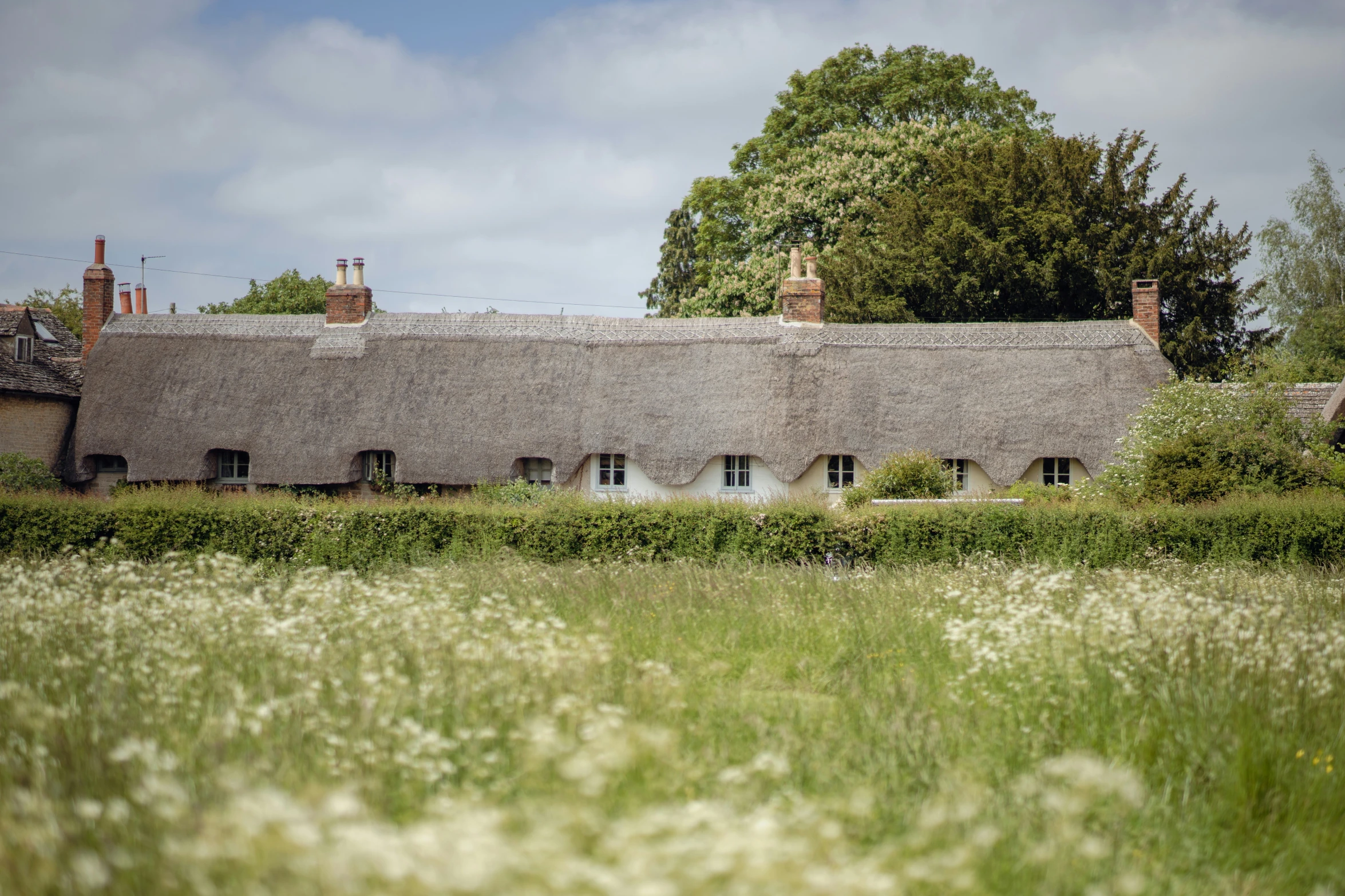 thatched roofs are the focal point in this image