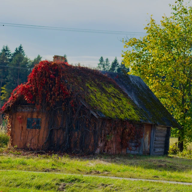 a house covered in vines sits in a field