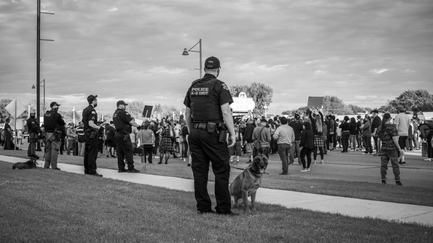 a police dog on leash next to a police officer