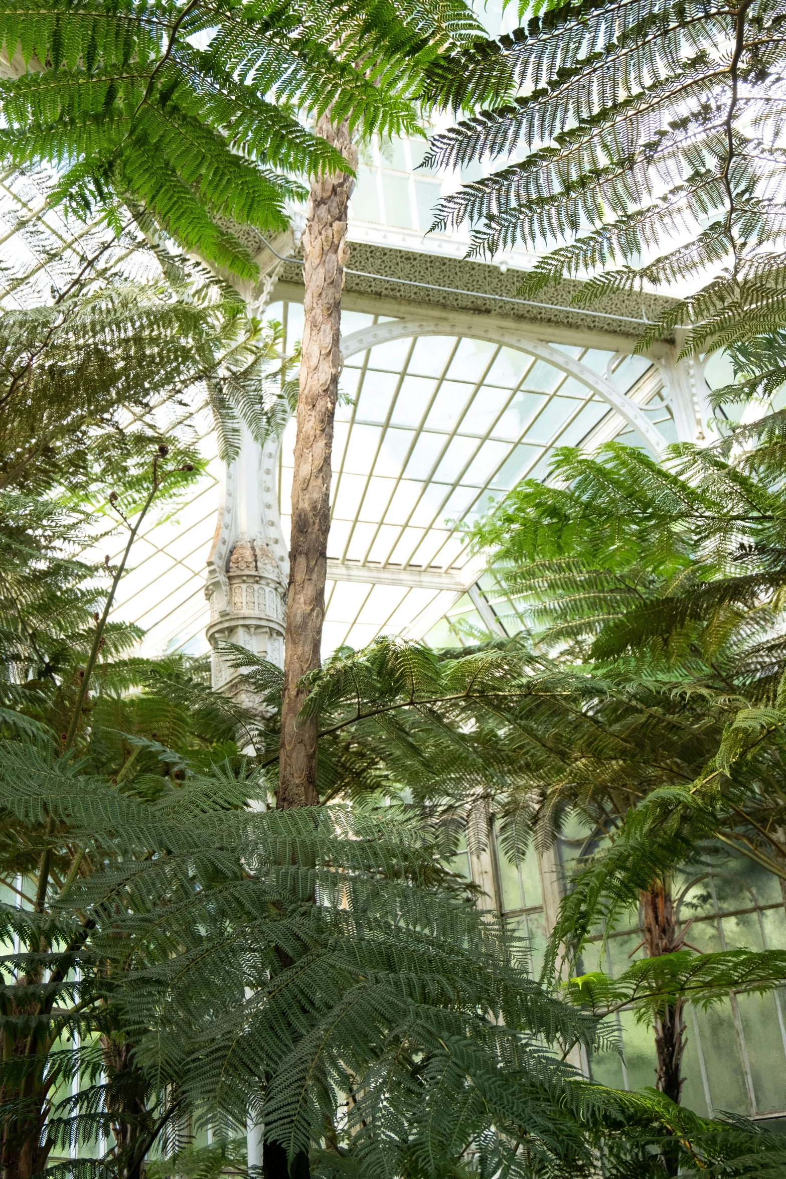 inside of a tropical park like area with trees and plants