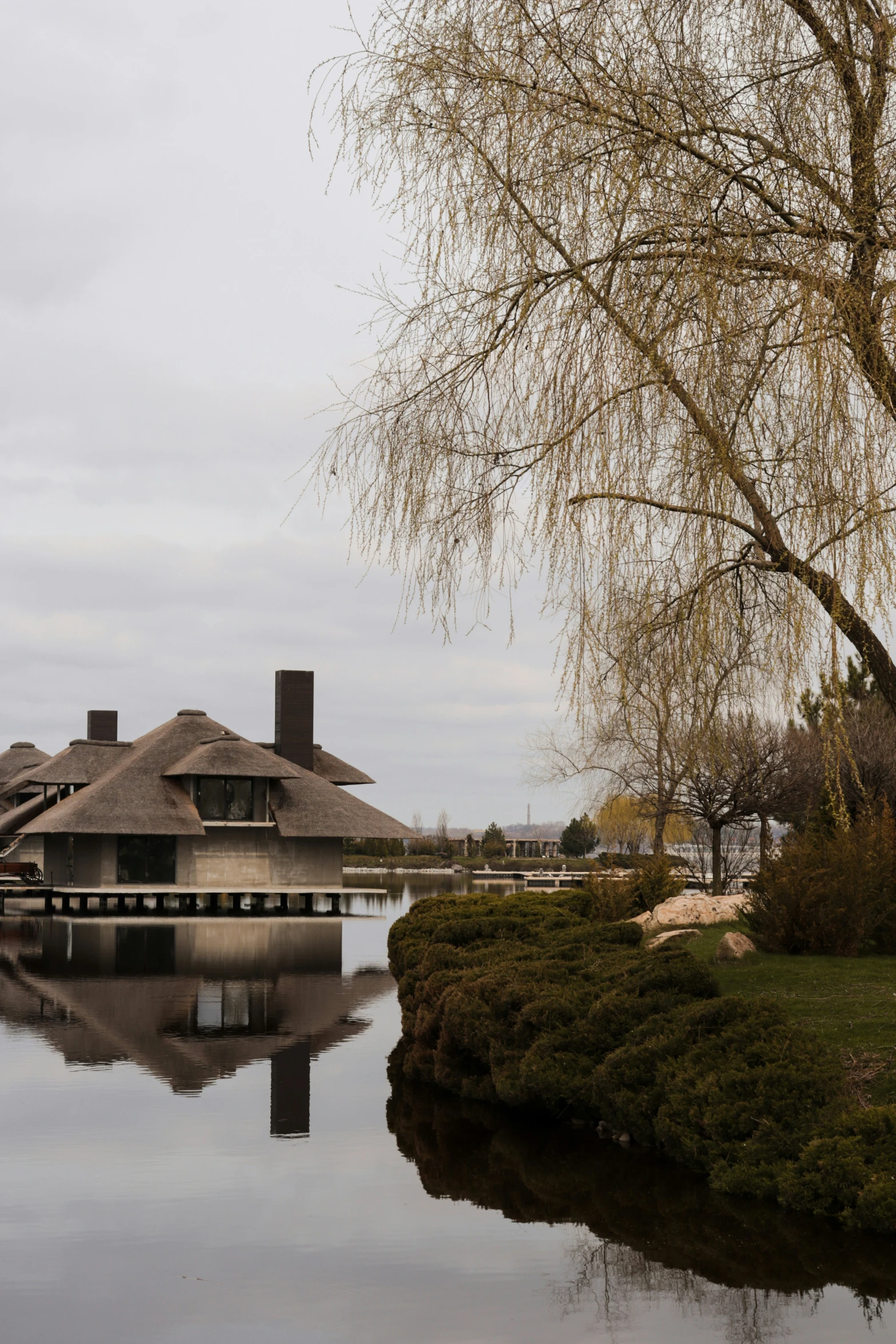 a large tree standing by a lake next to some huts