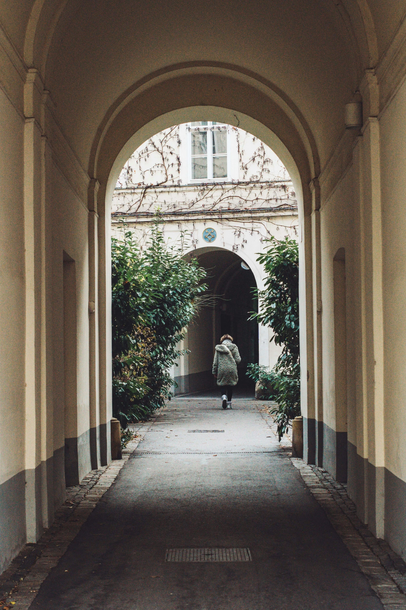 an archway that has some plants growing on the side