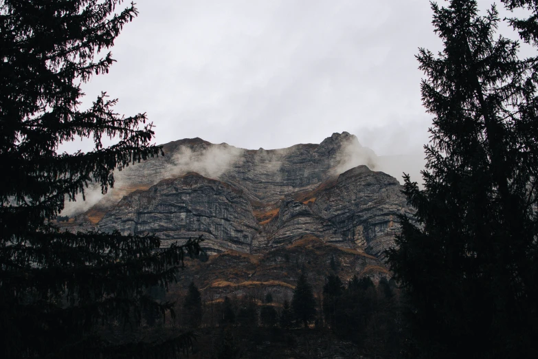 a mountain top is covered by heavy fog and the tops are pine trees