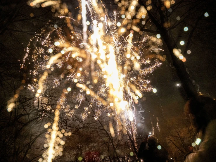 a large fireworks on a dark night in the park