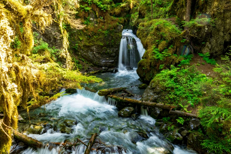 a stream running through some green trees and rocks