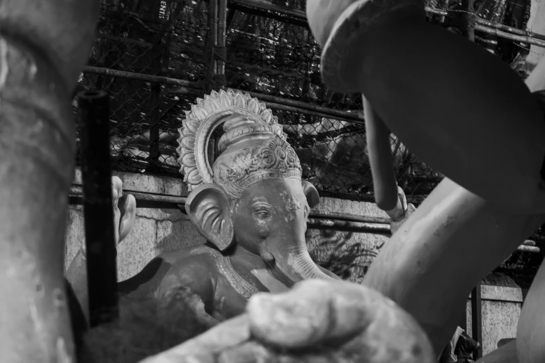 a person that is touching the face of a small elephant