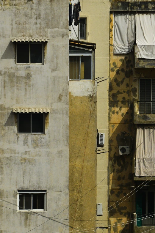 two buildings and one cat hanging on a rope