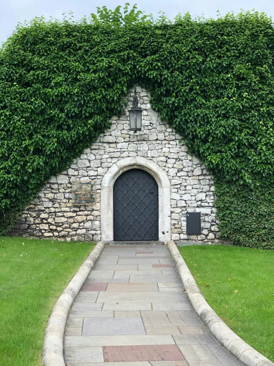 an open door in front of a very tall ivy covered wall