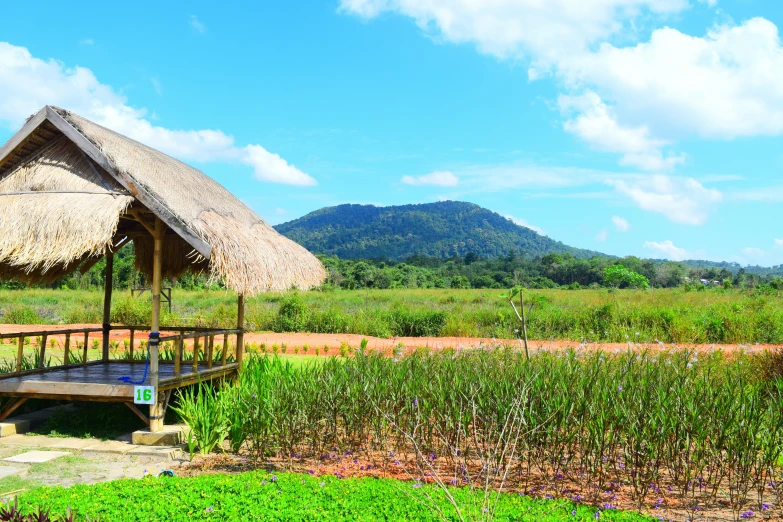 a hut in the middle of a lush green field