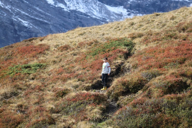 a woman is hiking up a grassy hill