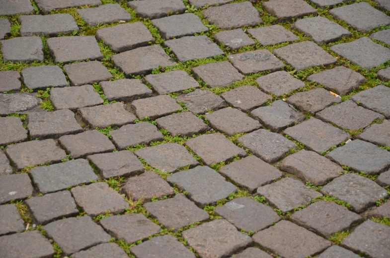 a cobble stone floor with grass growing on it