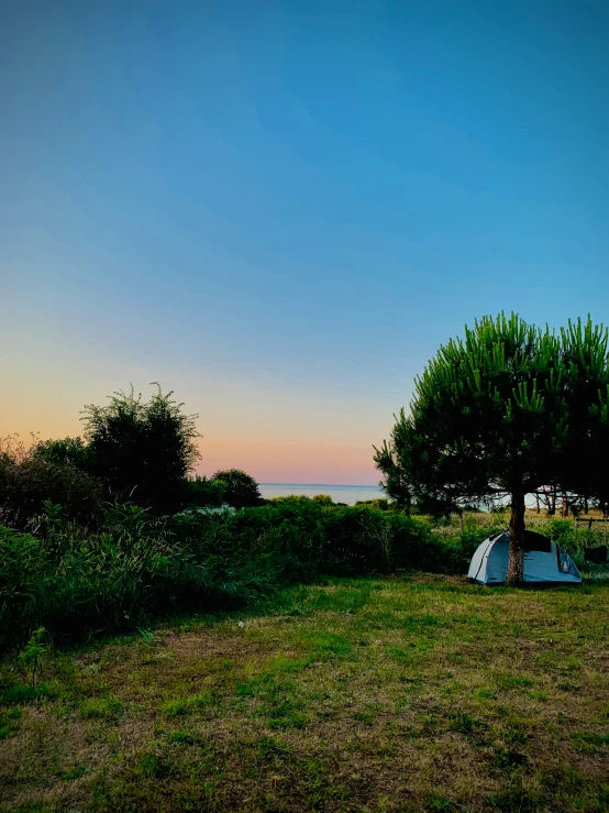 a large grassy field with a tree and tent