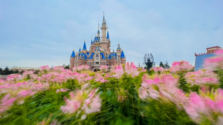 disney world, with many pink flowers in front