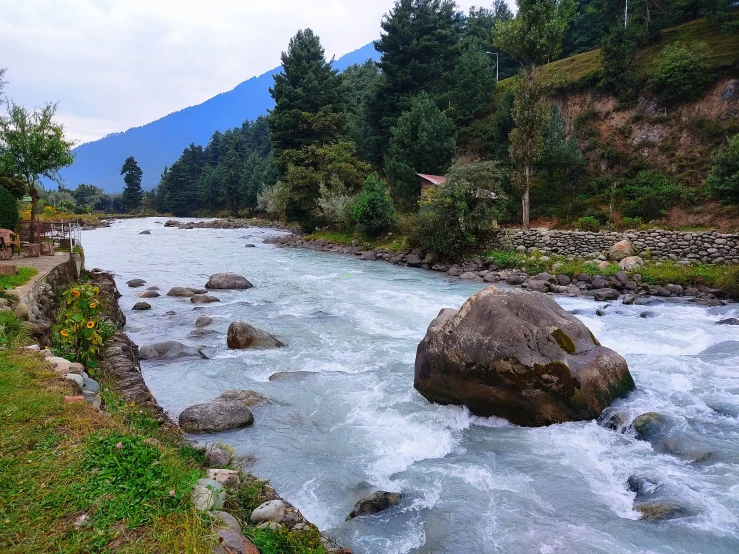 a river flows in between two forest covered mountains