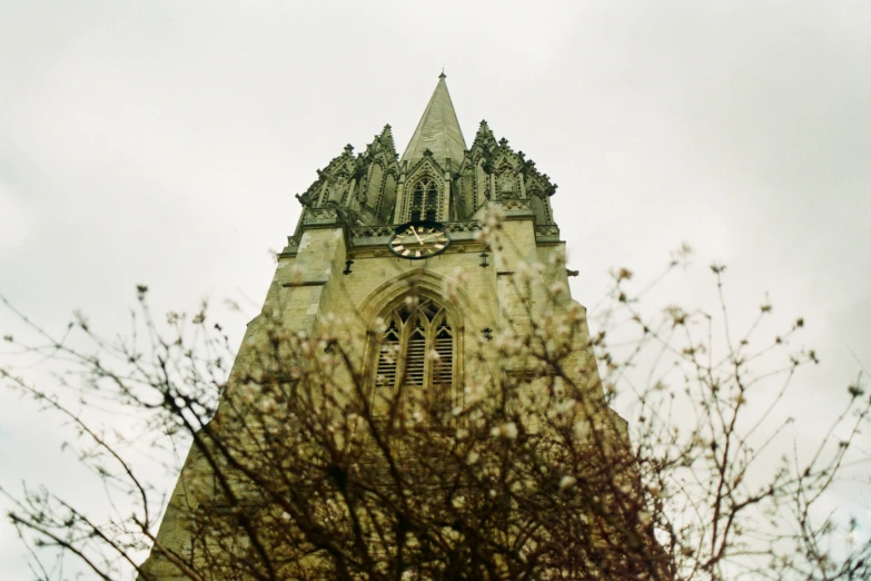 a clock on top of a building near some trees