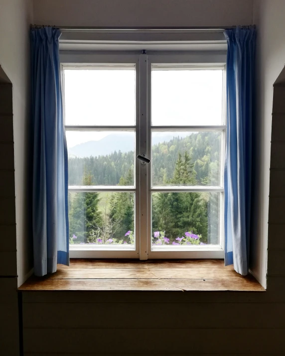 a window in a room with blue curtains and blue flowers