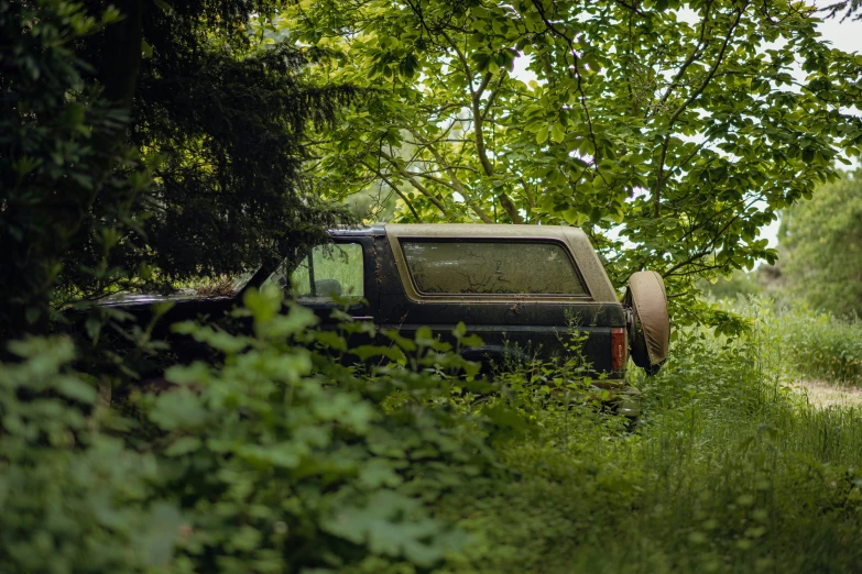 a truck is parked on a dirt road through tall grass