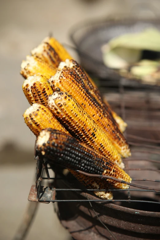 several cooked corn on an outdoor grill