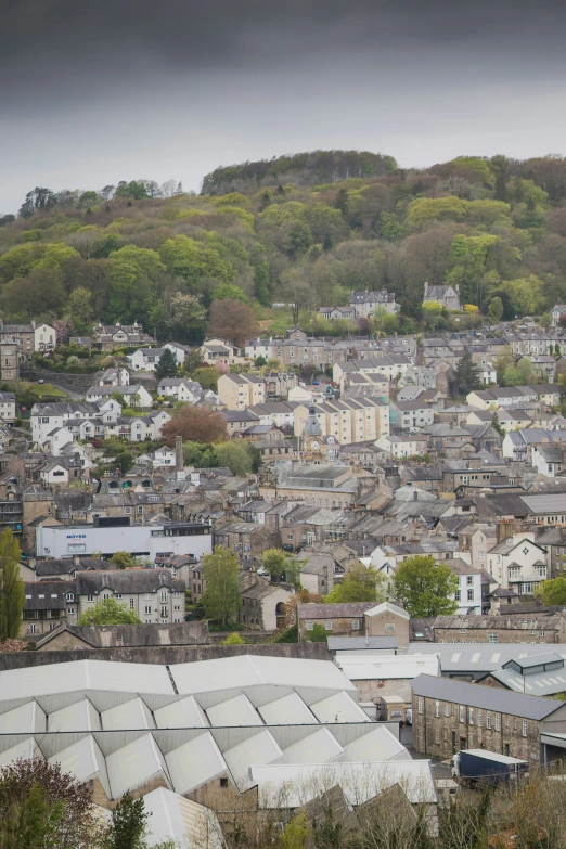 some buildings a hill and some trees