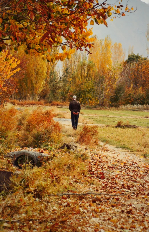 a man is walking through the autumn woods