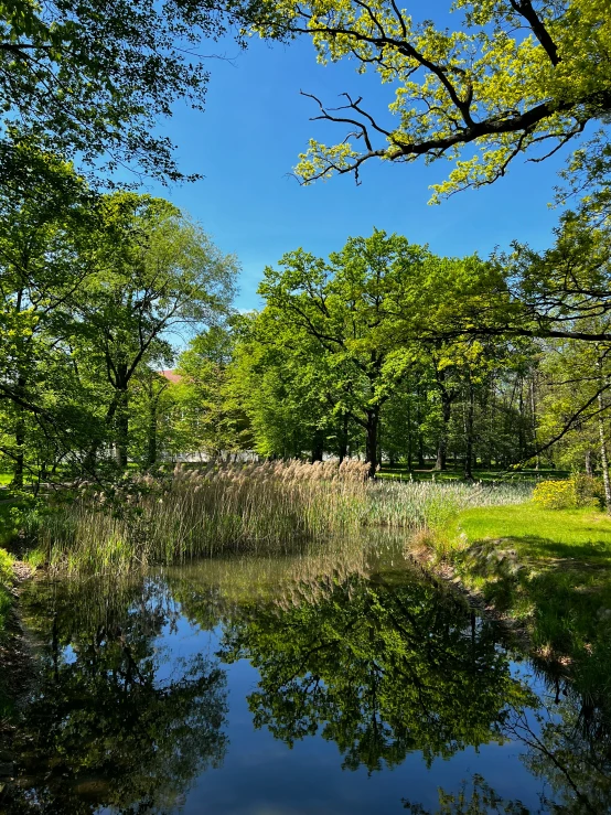 the sky is reflecting on the still water