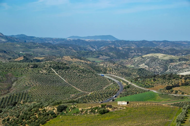 an aerial view of a rural valley with an orchard in the foreground