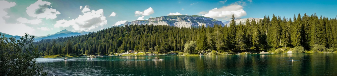 a river with trees and mountain in the background