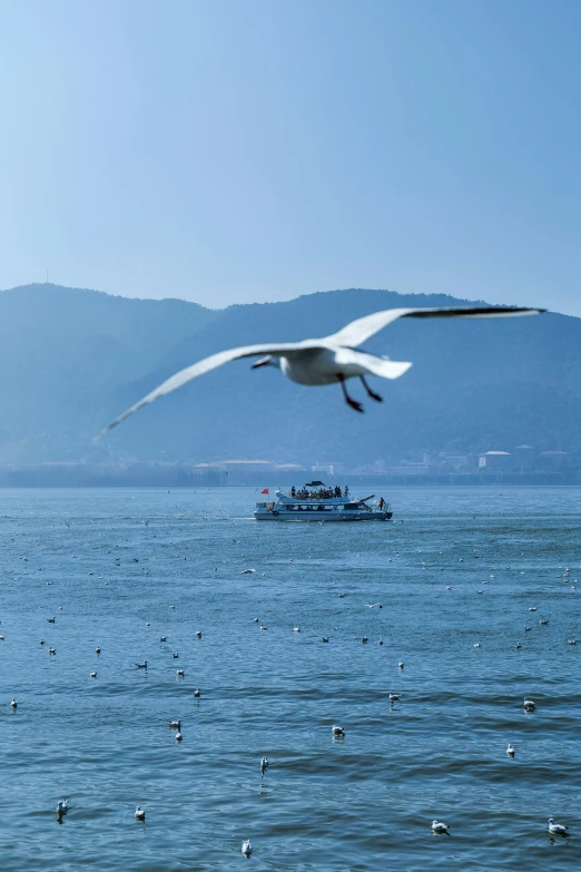 a large bird flying above a large body of water