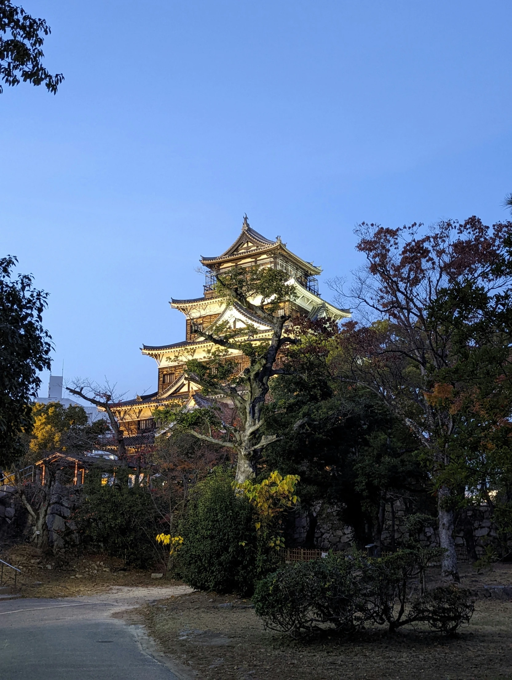 this is a tower at night on top of a hill