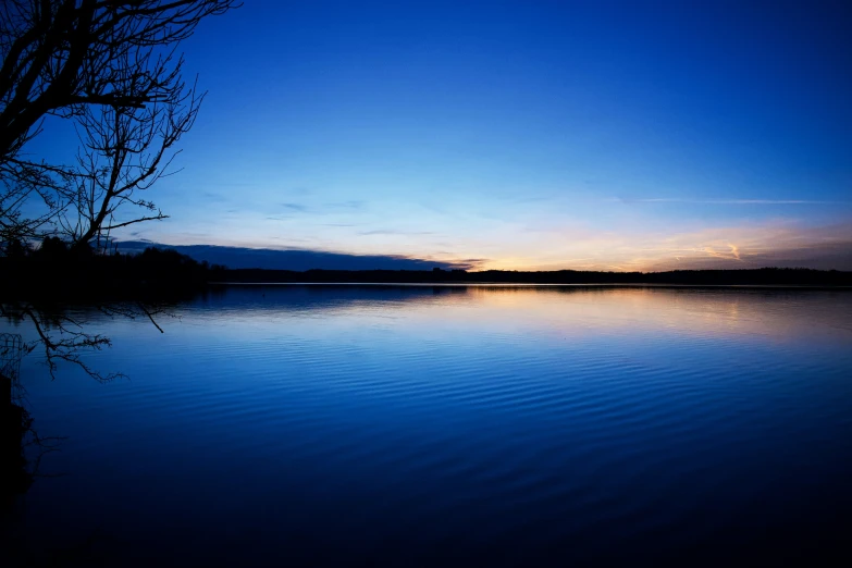 the trees are standing next to the water