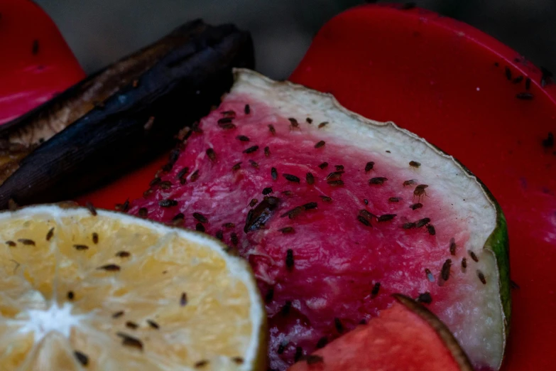 the fruits are cut and laying out on the plate