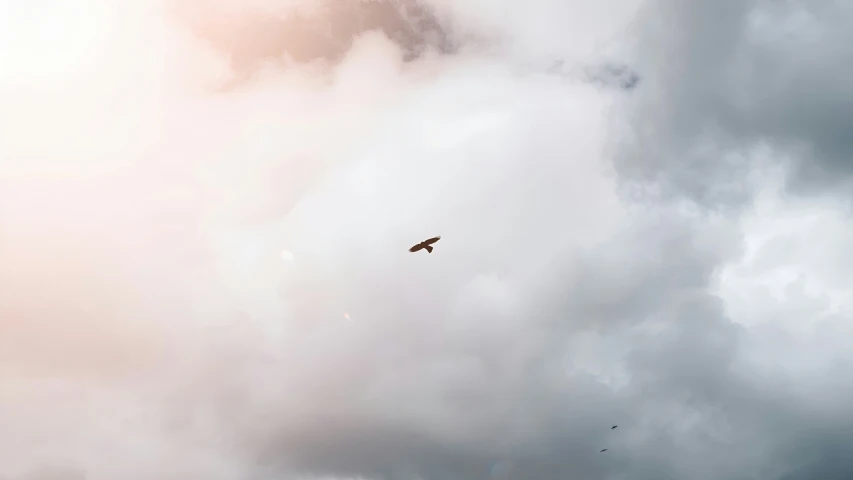 some black birds flying through a cloudy sky