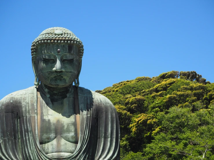 a statue of a buddha with trees and bushes in the background