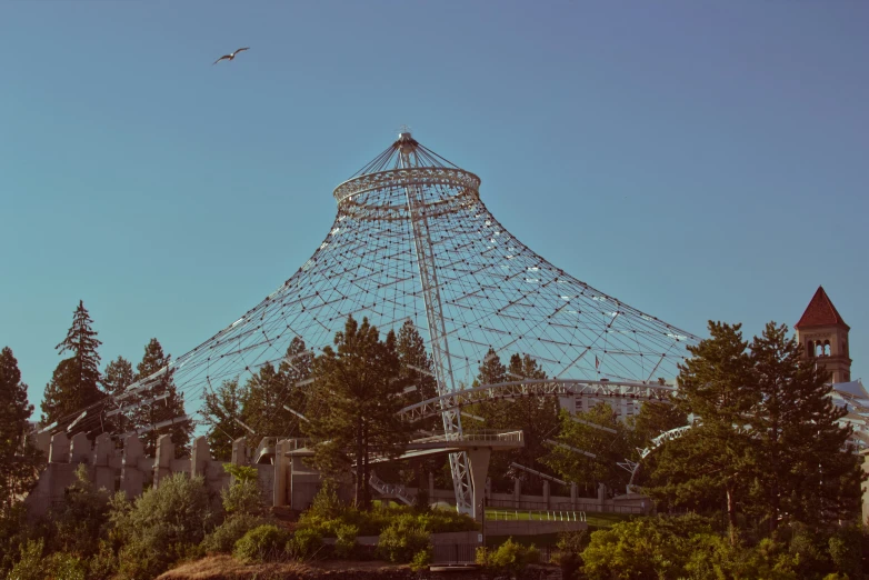 the large structure is being constructed into a forest