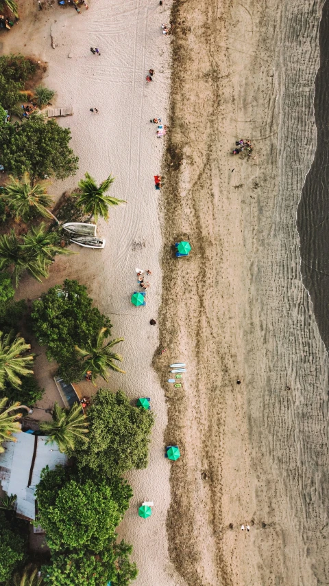 a beach with people on it and trees next to the water