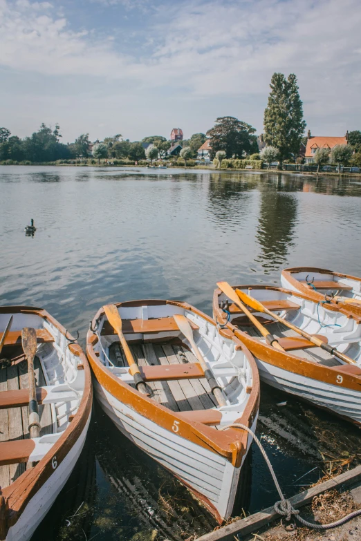 small row boats docked in the water by the shore