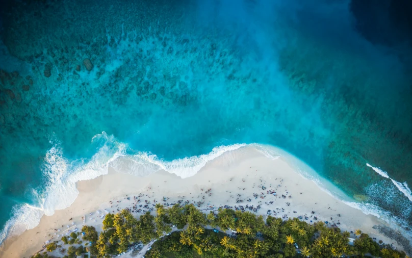 an aerial view of an area with many green trees on the shore