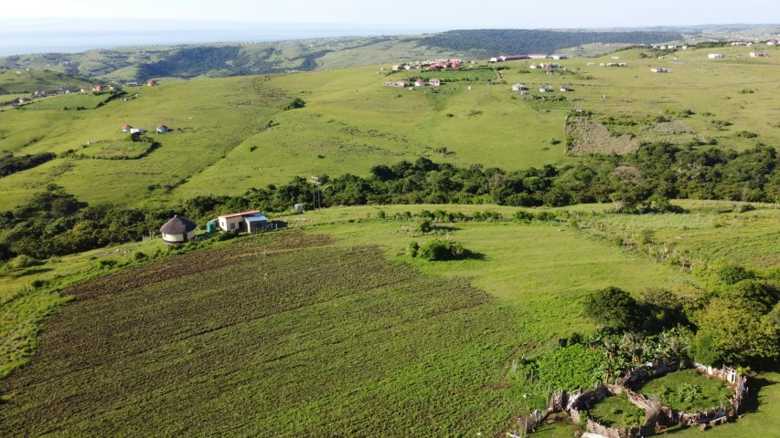 a view from a helicopter showing a lush valley and many white cattle grazing on the hillside