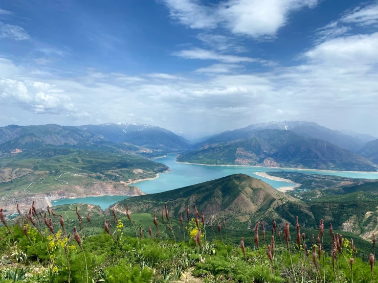 mountains, lakes and flowers on a blue sky day