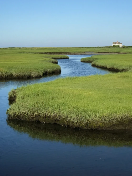 a stream running through a green, grassy plain