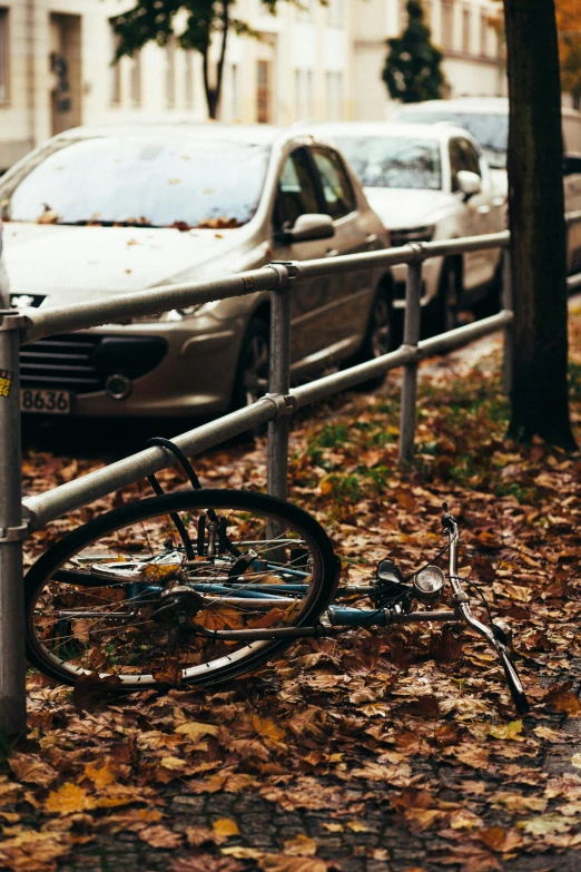 a bike leaned against a metal fence on leaves and next to cars