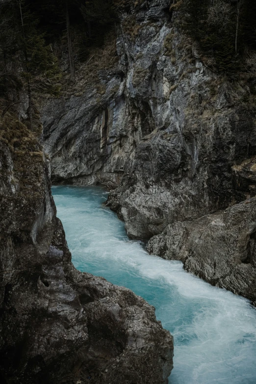 a mountain stream running through the middle of a forest