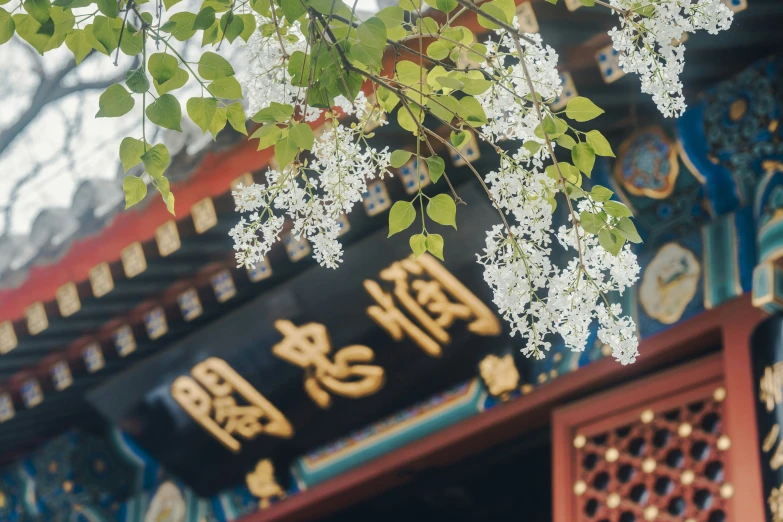 an oriental building that has flowers and asian characters in the foreground