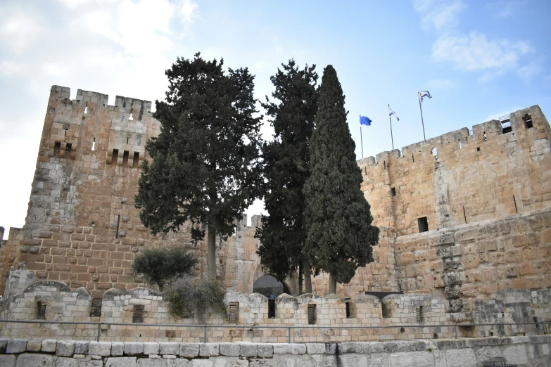 a large castle like structure with trees growing out of it