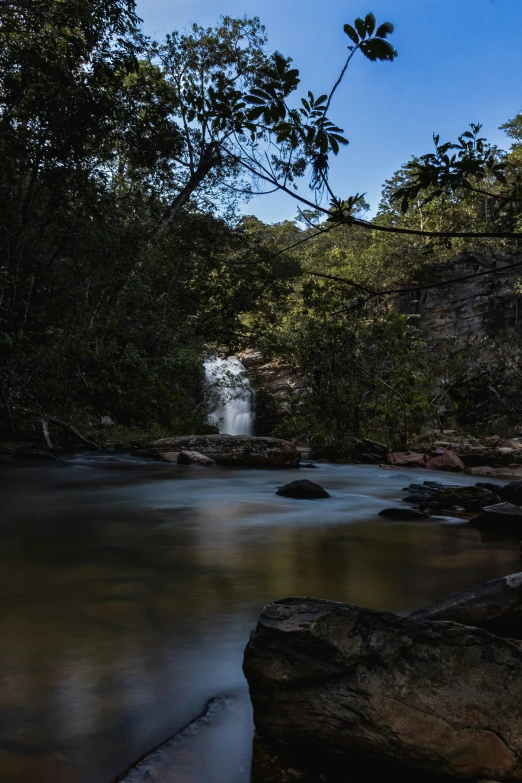 a small waterfall sits among a forest